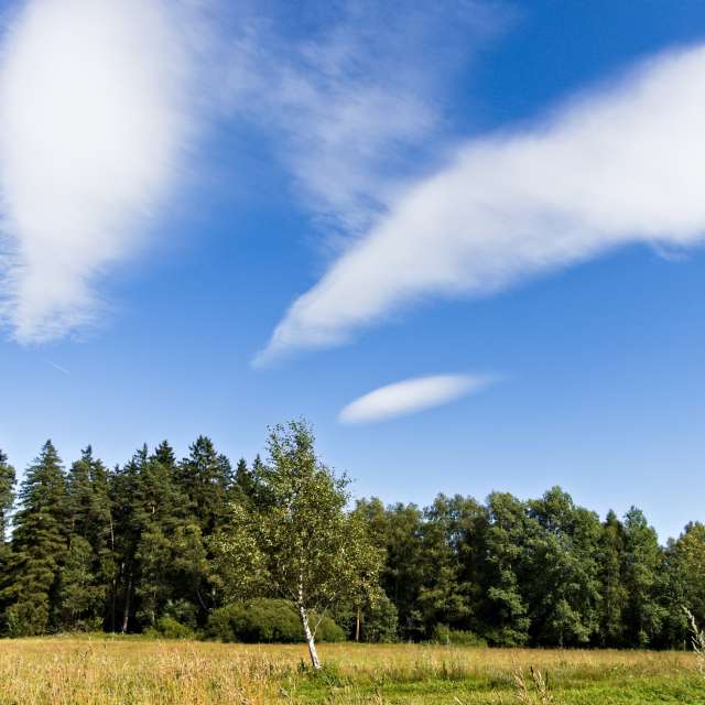 Tom44の美しい写真による天気予報