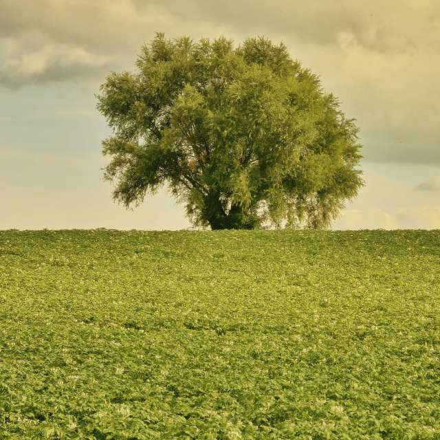 Pronósticos del tiempo con hermosas fotos de TylerDurden