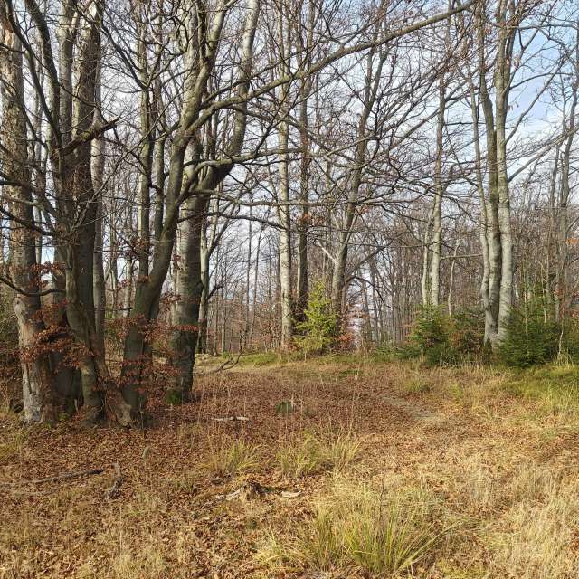 Weather forecasts with beautiful photos by zjabri