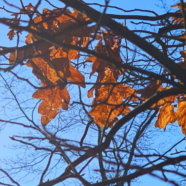 Tower. Weather forecasts with beautiful photos by Seni Photos in Velbert