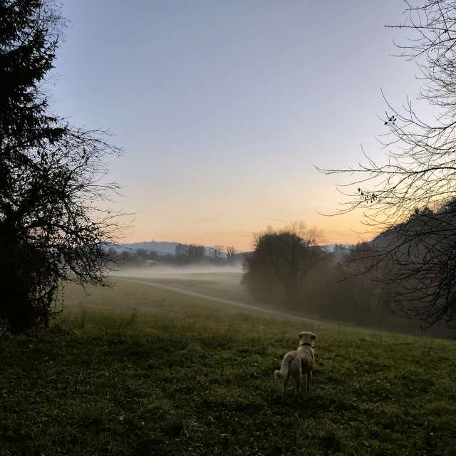 Pasture. Weather forecasts with beautiful photos by Anamarija Photos in World