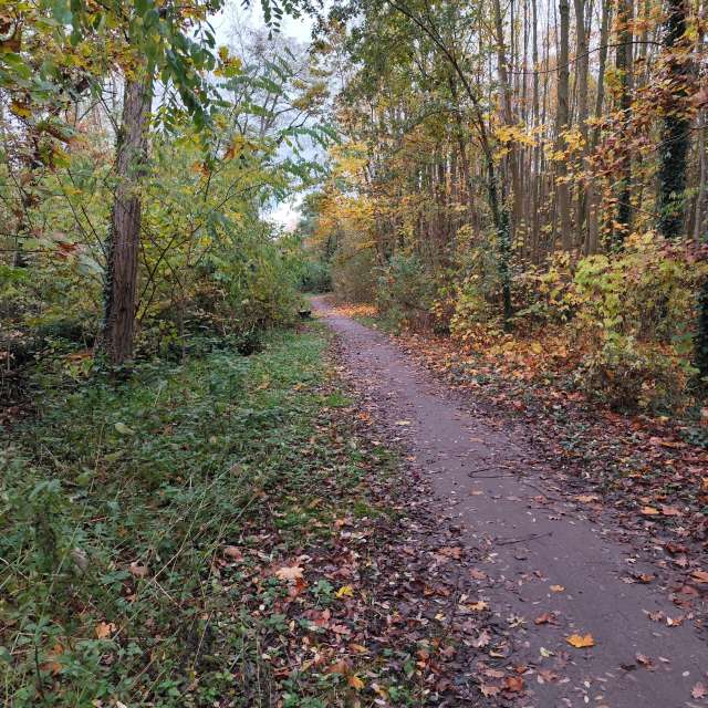Fotos do tempo em Mundo. Previsões do tempo com lindas fotos de Oleg1961
