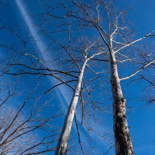 Прогнозы погоды с чудесными фотографиями, сделанными krantzjh