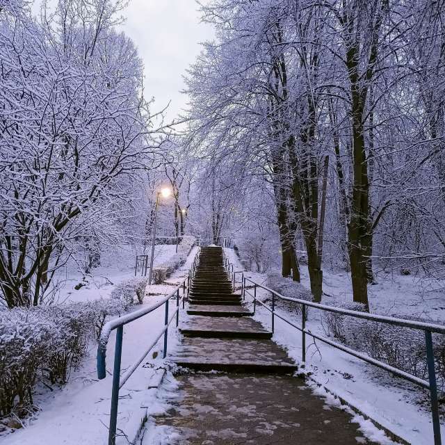 Zaun. Wettervorhersagen mit schönen Fotos von Kripo Fotos Ladek Zdroj