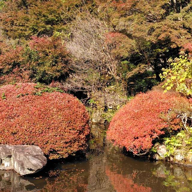 秋. Weather forecasts with beautiful photos by umemui Photos in World