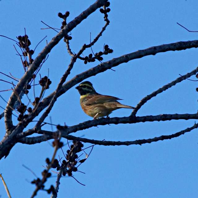 Wire. Weather forecasts with beautiful photos by tony5636 Photos in Calvisson