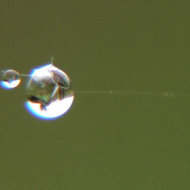 George Popoの美しい写真による天気予報