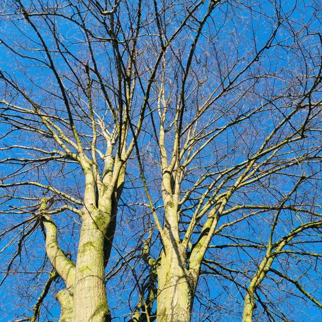 Greetの美しい写真による天気予報