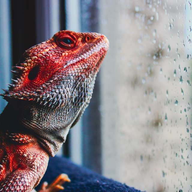 Прогнозы погоды с чудесными фотографиями, сделанными derlops