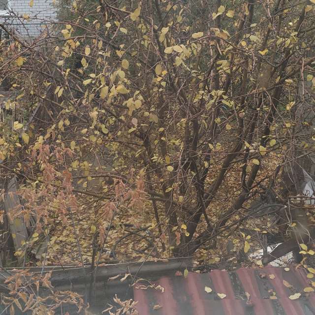 俄罗斯的天气照片. 天气预报，带Димитрий精美的照片