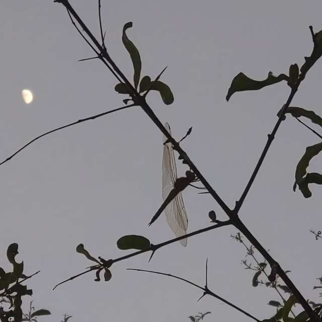 Photos Vol. Prévisions météo avec de superbes photos de Wen-ya Huang de Kaohsiung