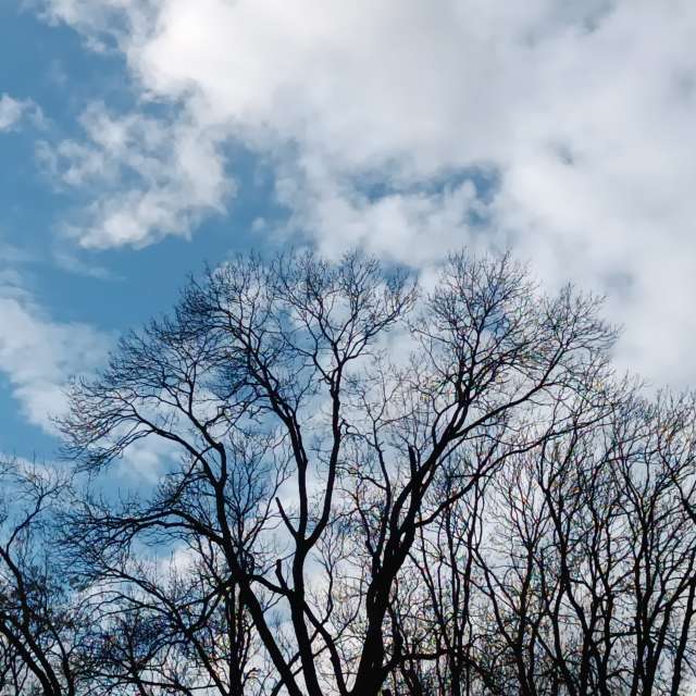 Fotos del Frente. Pronósticos del tiempo con hermosas fotos de YanBog en București