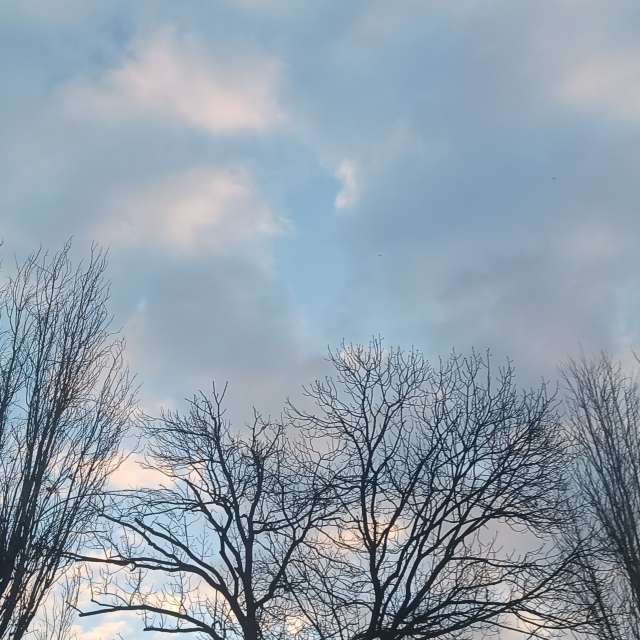 Fotos del Pista. Pronósticos del tiempo con hermosas fotos de YanBog en București