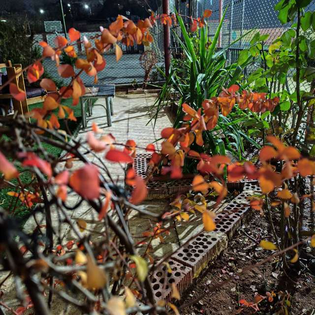 Pronósticos del tiempo con hermosas fotos de Abo_Malek