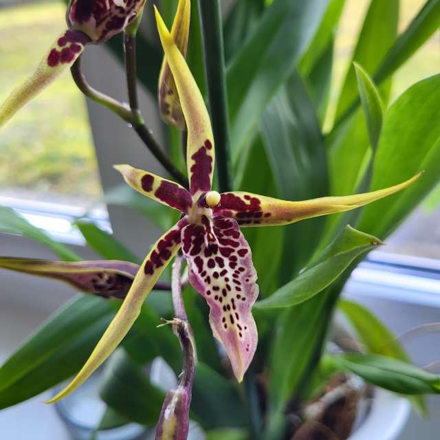 Прогнозы погоды с чудесными фотографиями, сделанными aida-khaldi