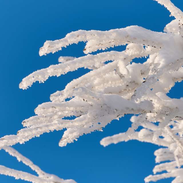 Прогнозы погоды с чудесными фотографиями, сделанными Aleh_Narushevich