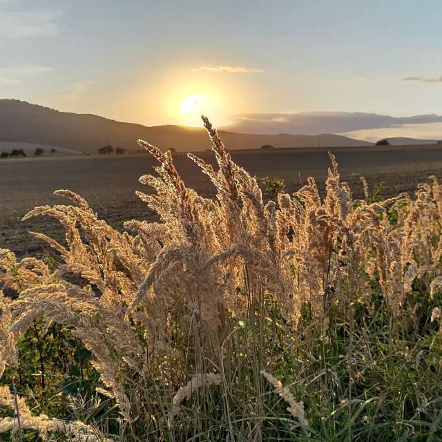 Pronósticos del tiempo con hermosas fotos de Richtoldi