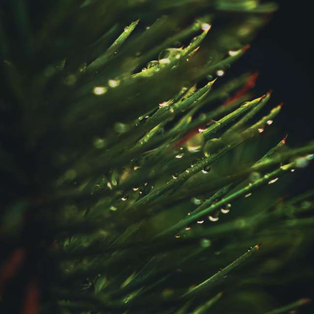 Прогнозы погоды с чудесными фотографиями, сделанными derlops