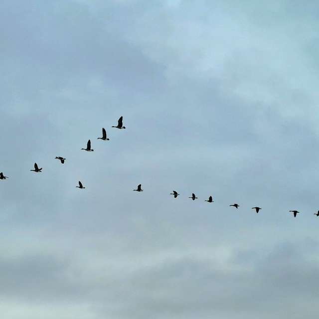 Dự báo thời tiết với những bức ảnh đẹp của Geo23