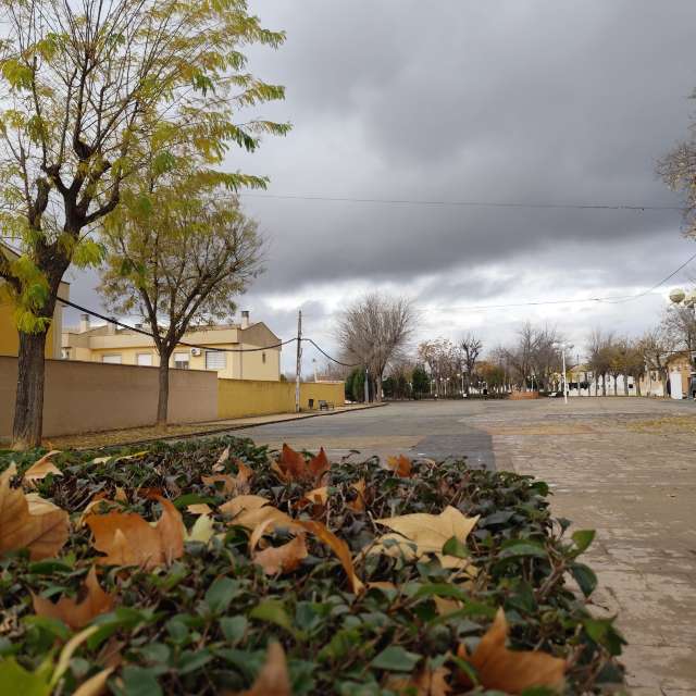 Wettervorhersagen mit schönen Fotos von M Paz Basanta Costea