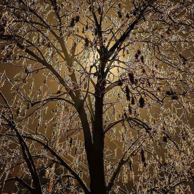 Photos Banc. Prévisions météo avec de superbes photos de Miloš_SK de Sereď