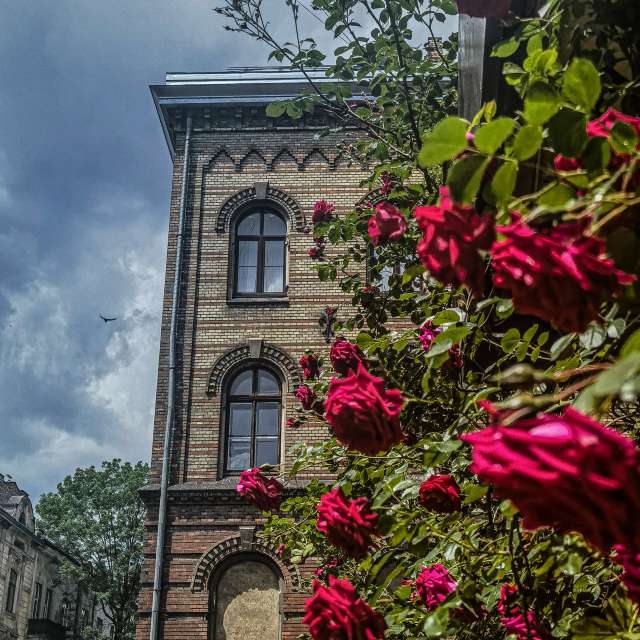 Wettervorhersagen mit schönen Fotos von Terraza74