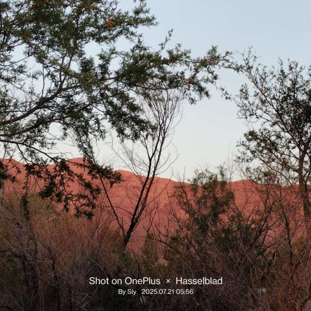 MsSlyの美しい写真による天気予報