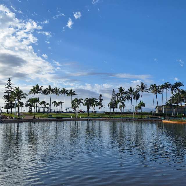 Weather forecasts with beautiful photos by bats