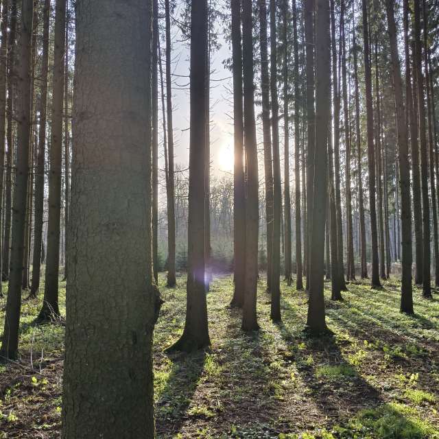 天气预报，带Aleksei精美的照片