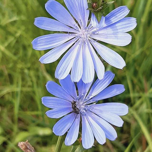 Lena_Glukhovaの美しい写真による天気予報