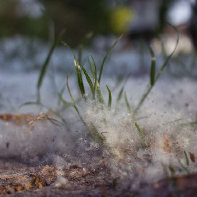 天气预报，带Axys精美的照片