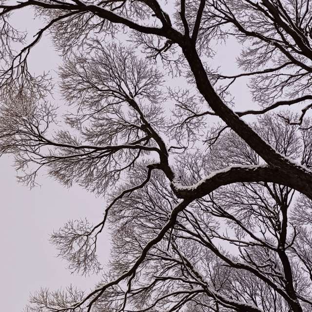 Прогнозы погоды с чудесными фотографиями, сделанными Lena_Glukhova