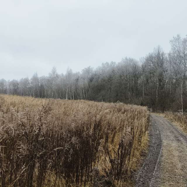 天气预报，带Aleksei精美的照片