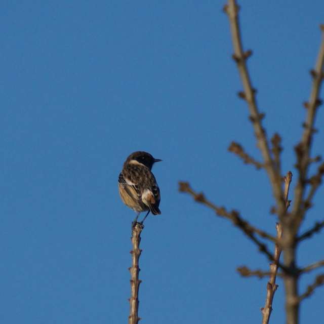 Weather forecasts with beautiful photos by tony5636