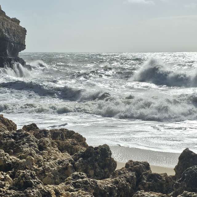 Brtdの美しい写真による天気予報