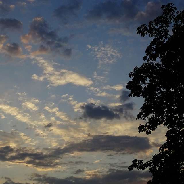 Prévisions météo avec de superbes photos de Михаил Гавриков