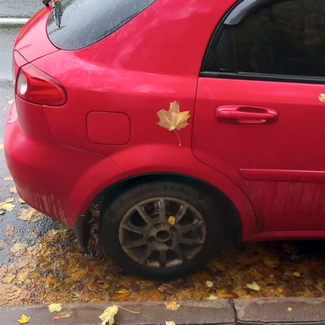 Pronósticos del tiempo con hermosas fotos de Prohojiy