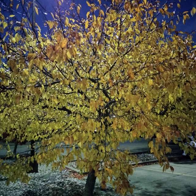 Weather forecasts with beautiful photos by Kate72