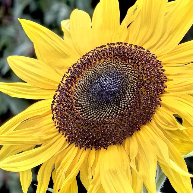 Previsões do tempo com lindas fotos de Igor-65