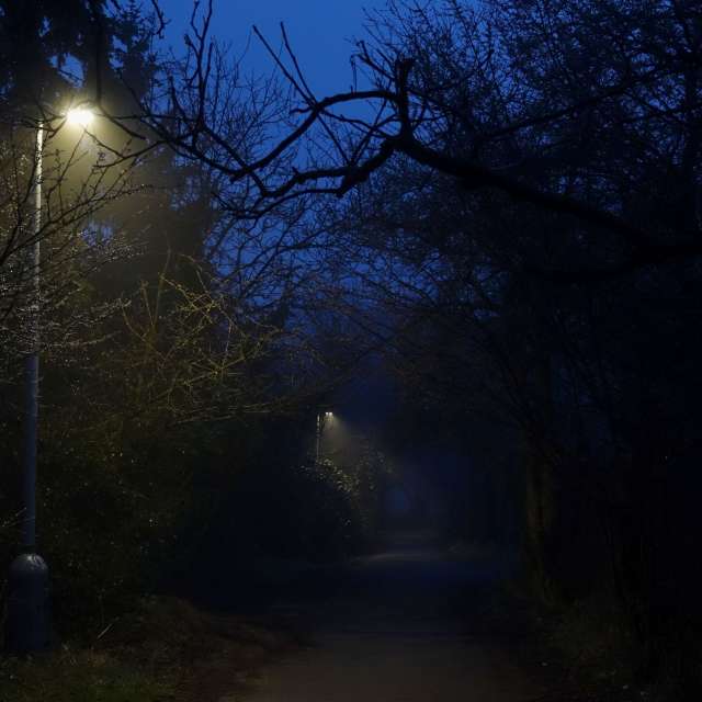 Fotos Luz. Previsões do tempo com lindas fotos de Vasek325 em Praha 12