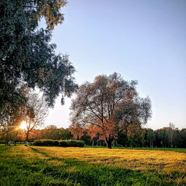 Pronósticos del tiempo con hermosas fotos de fruta