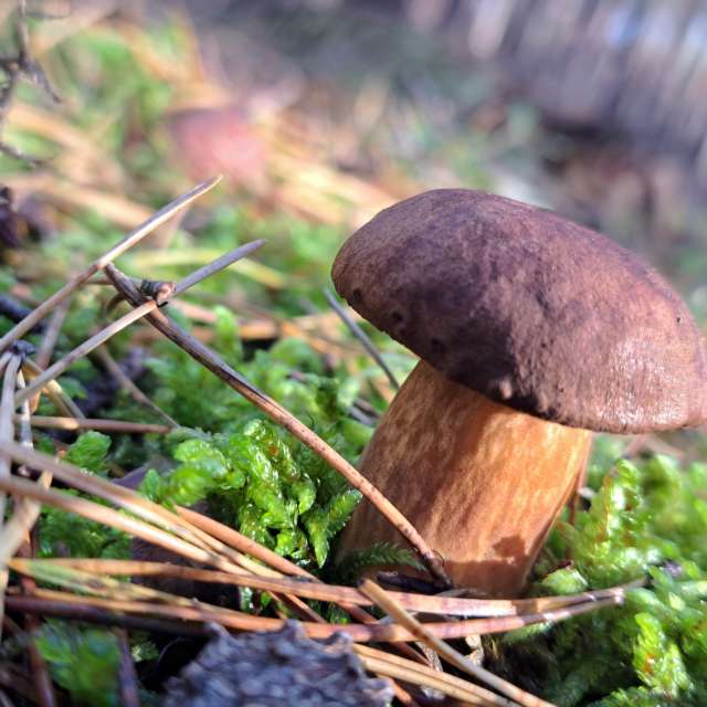 Прогнозы погоды с чудесными фотографиями, сделанными Arturo