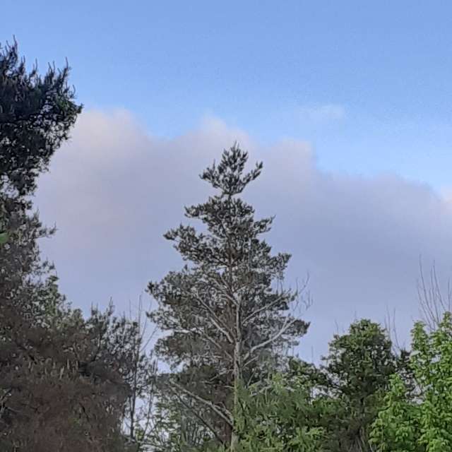 Field. Weather forecasts with beautiful photos by ccdn0630 Photos in Barrie