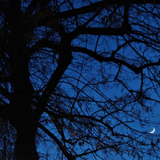 RoDi-zignの美しい写真による天気予報