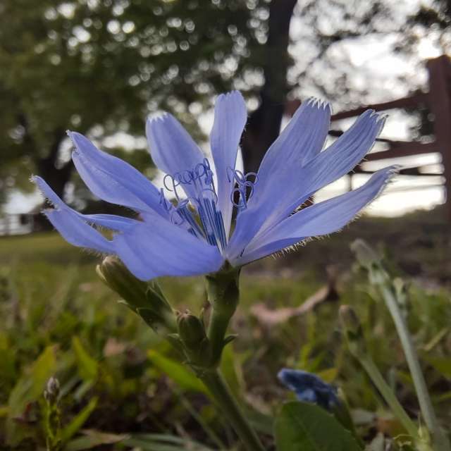 天气预报，带AgentTomcat精美的照片