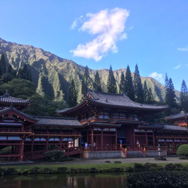 Pronósticos del tiempo con hermosas fotos de Oskidee