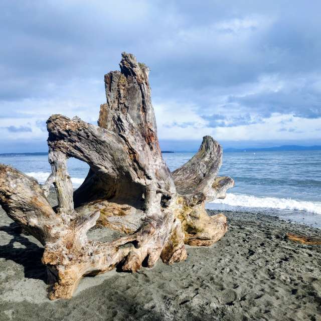 Прогнозы погоды с чудесными фотографиями, сделанными BijanZ