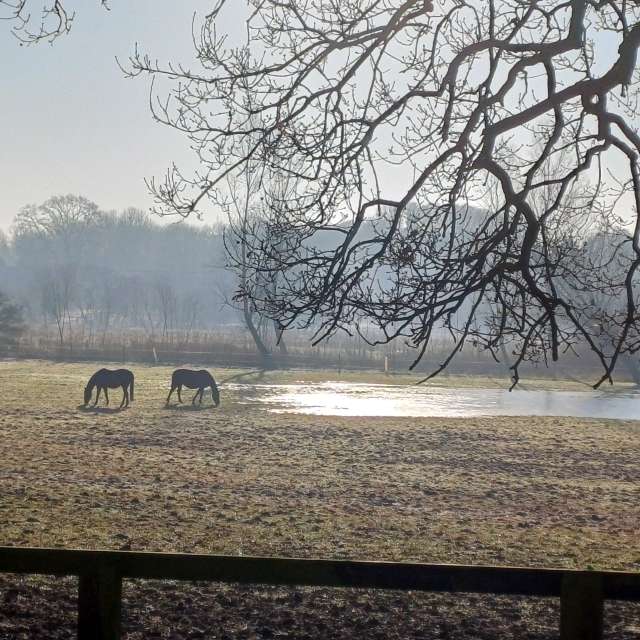 世界の天気写真. Lolliの美しい写真による天気予報