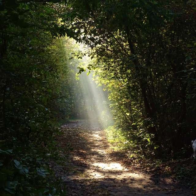 Man. Weather forecasts with beautiful photos by Михаил Гавриков Photos in Kharkiv