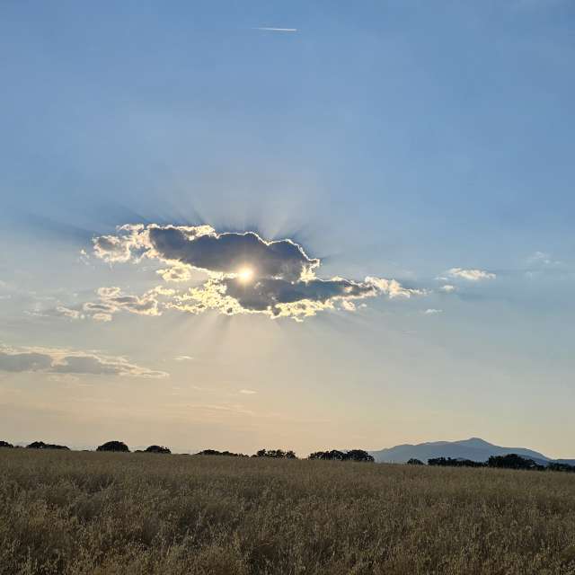 Wettervorhersagen mit schönen Fotos von ILIE